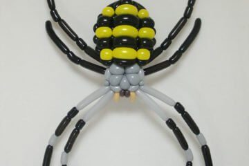 Masayoshi spider2