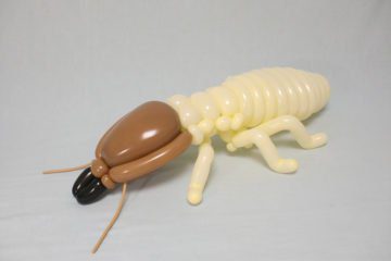 Masayoshi termite