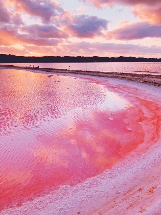 O lago rosa da Austrália