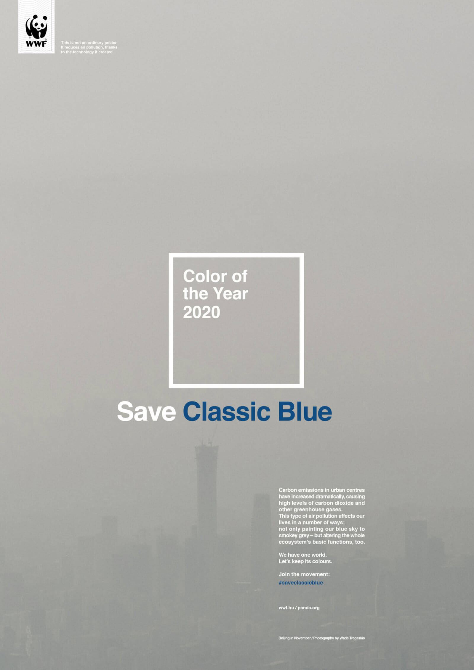 WWF SaveClassicBlue POSTER