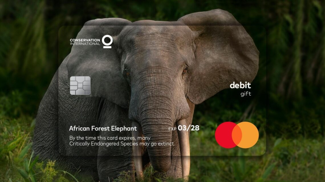 MasterCard usa data de expiração para falar de extinção animal